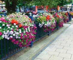 Britain in Bloom flower display