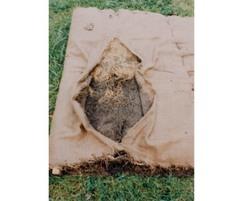 Sedimat™ disturbed sediment entrapment matting