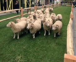 INTURF™: Turfing Savile Row for Wool Week