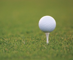 Lindum Washed Turf - golf course