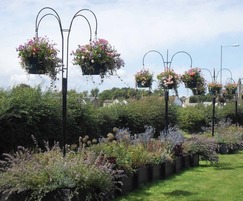 4-arm Basket Trees for public realm floral displays
