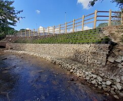 Riverbank after restoration