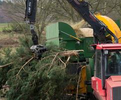 Whole tree chipping with  our Dutch Dragon