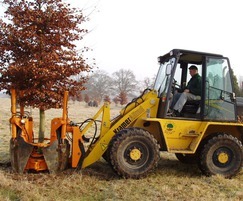 Optimal 1100 mounted on compact loader for tree moving
