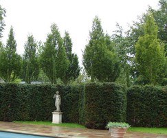 Hedge Elements with trees