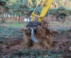 Tree clearance services