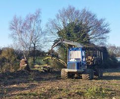 Tree and vegetation clearance