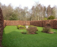 Matching hedge to existing