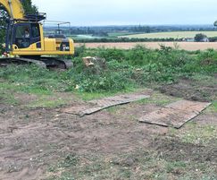 Tree clearance reveals views