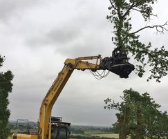 Tree shears as part of golf course clearance
