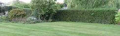 A well made lawn is an eco-friendly enhancement to any 