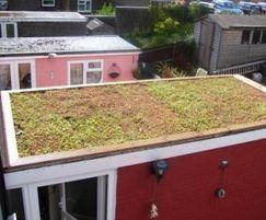 Enviromat sedum green roof kit for domestic flat roofs