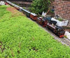 Garden railway runs past sedum matting