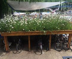 Wild flower cycle shed