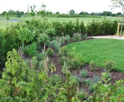 Hedges, lawns and planting