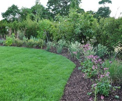 Naturalistic planting surrounds a lush lawn