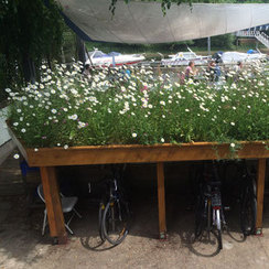 This wildflower roof is on a sturdy cycle shed. 