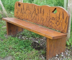Cedar bench - sandblasted natural history illustrations
