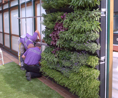 Vertiss living green wall for a temporary display