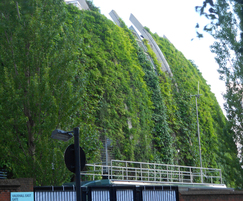 modular green wall  for oval cricket ground