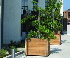 Mews FSC timber and stainless tree planters