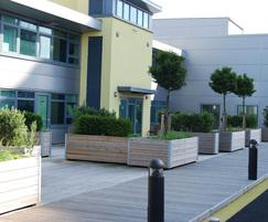 Mews roof garden planters St. Georges Leicester