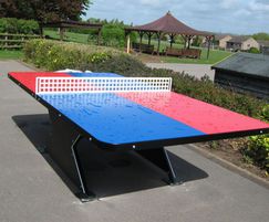 Outdoor Table Tennis