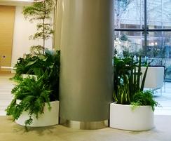 Planted up freestanding planters in Paris