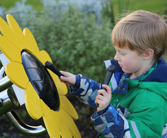 Sunflower Petal Drum ideal for Schools and Nurseries