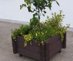 100% Recycled Plastic Planter