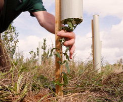 Shelters provide protection for young trees