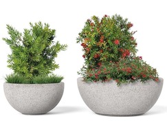 Ball Planters are available in two sizes