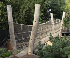 Log Net Bridge