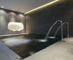 basement swim spa