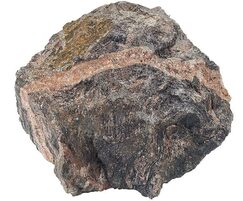 Firebird Gneiss Rockery stone