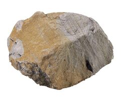 Purbeck Limestone Rockery stone