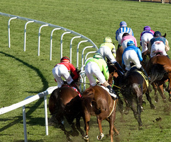 Horse racing fencing