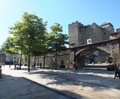Tree pit design for Derry city centre
