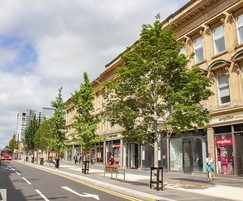 Tree system for Sauchiehall Street, Glasgow