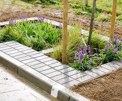 HydroPlanter™ also provides an amenity and biodiversity