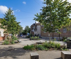 StrataCell™ tree pits for community rain garden