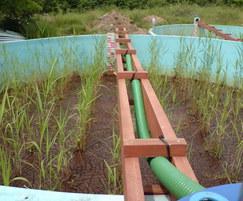 Trial reedbeds treating ferric drinking water sludge