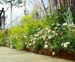 EverEdge® Titan landscape edging on flower beds