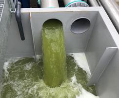 Pea processing wastewater before treatment