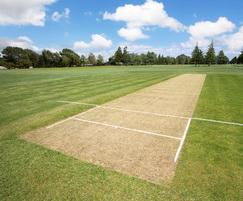 Cricket square with A5 grade grass seed mixture