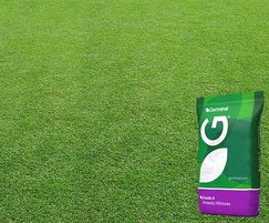 Grass seed A19 bag