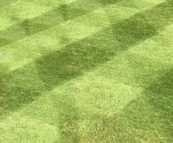 Quality Lawn