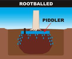 Piddler® tree irrigation system
